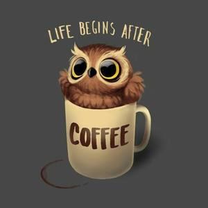 Meet your Posher, Hazel